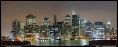 Partial Panorama New York City