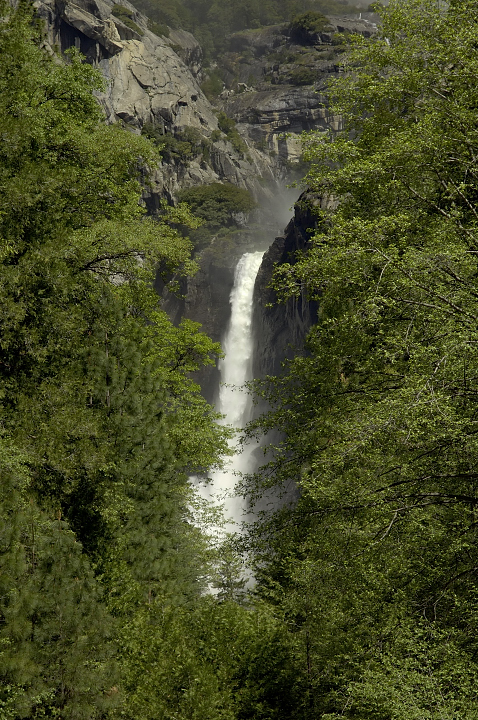 Yosemite for web024.jpg