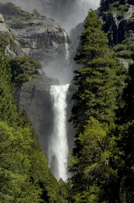 Yosemite for web021.jpg