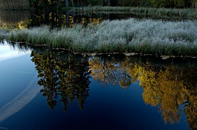 sweden_in_the_fall_05