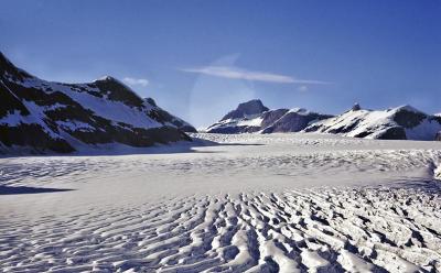 Juneau ice field