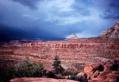 Storm in the Canyon