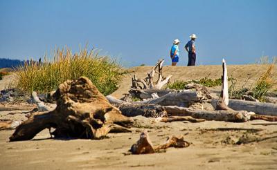 A stroll on Jetty Island