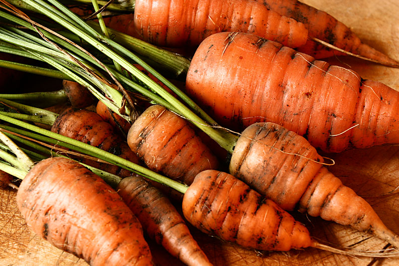 Sep 29: Carrot mountain