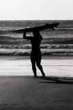 Jun 4: Surfer girl
