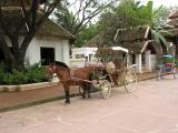 Horse and me cart