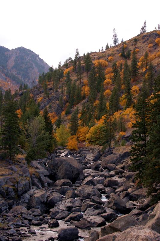Fall canyon creek 1.JPG