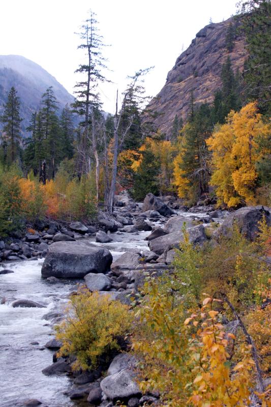 Fall canyon creek 3.JPG