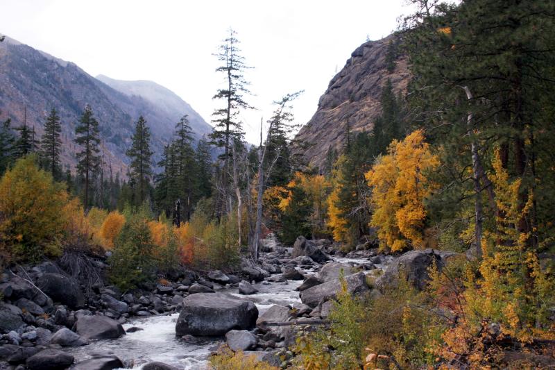 Fall canyon creek 4.JPG