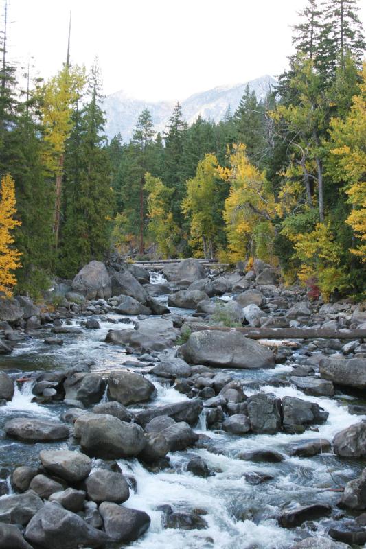 Fall canyon creek 6.JPG
