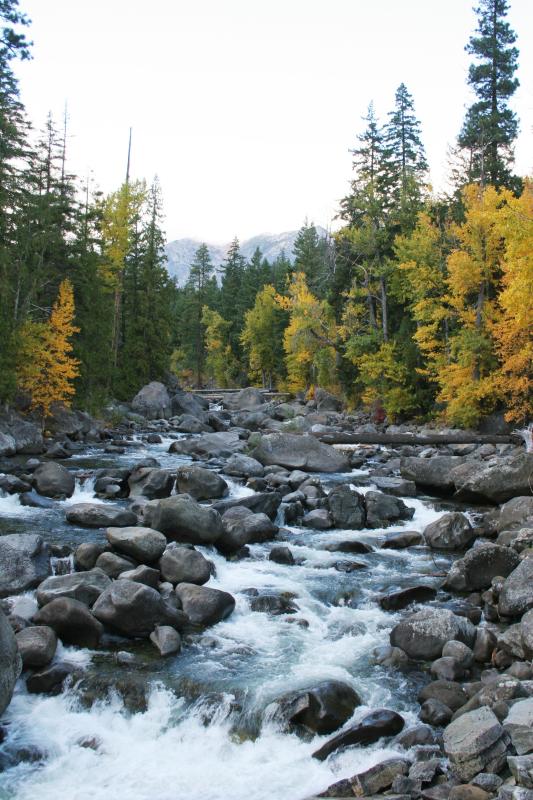 Fall canyon creek 7.JPG