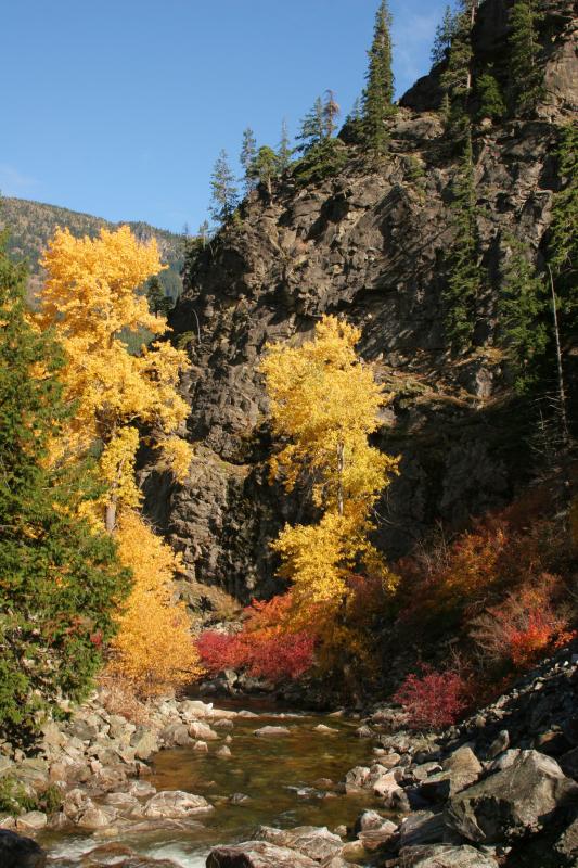 Fall cayon 1.JPG