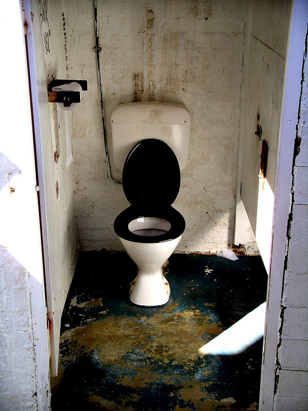 Keep the Seat Down