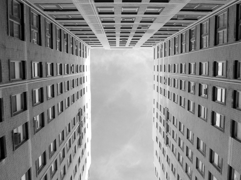 [3rd equal] Looking Up (Brian Bauer)