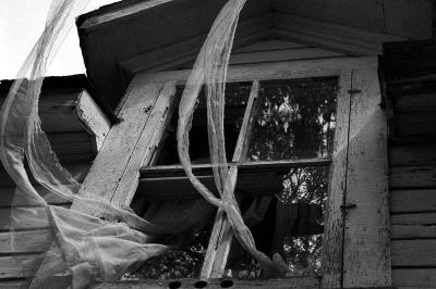 Tattered Window