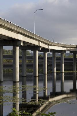 Wetland Freeway