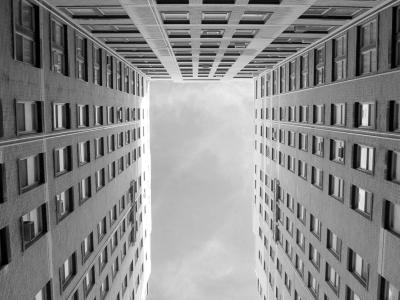 [3rd equal] Looking Up (Brian Bauer)
