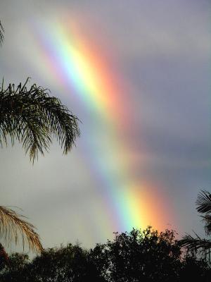 Morning Rainbow