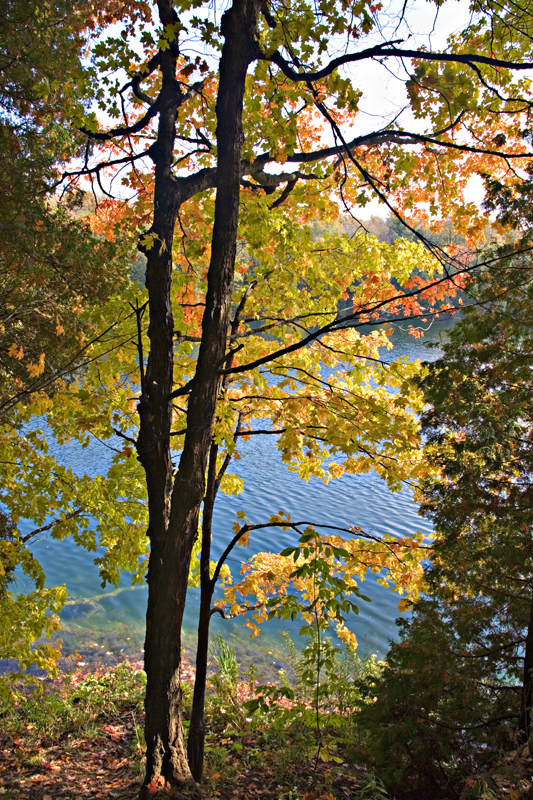 Crawford Lake1.jpg