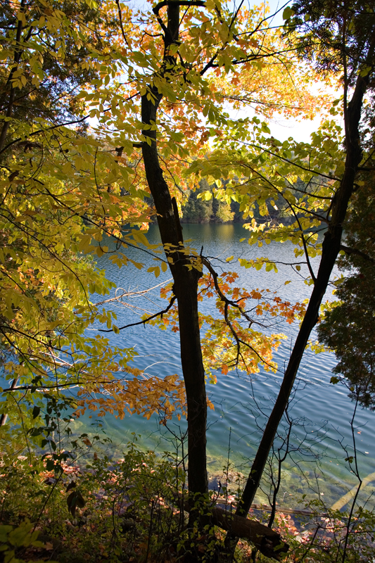 Crawford Lake