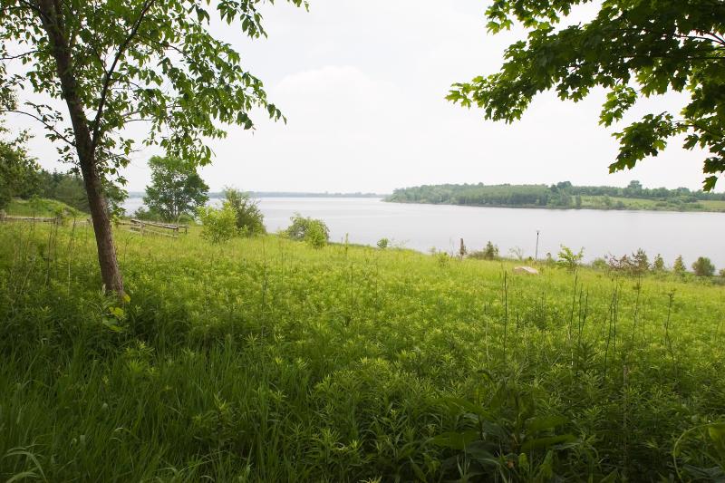 Guelph Lake.jpg