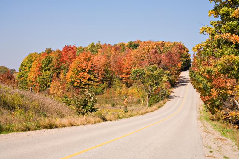 Hockley Valley