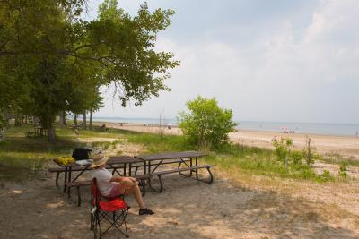 v3/02/391802/3/44573005.Wasaga.jpg