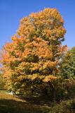 Crawford Lake5.jpg
