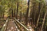 Crawford Lake Boardwalk.jpg
