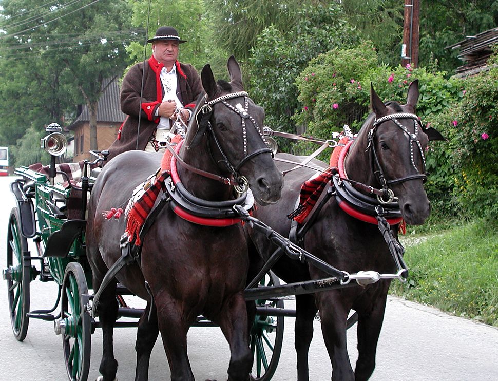 Dorożka