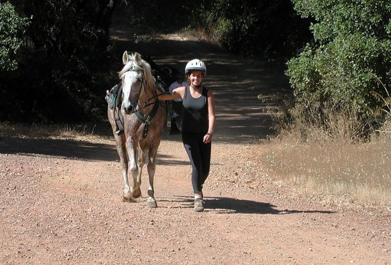 Horsewalking