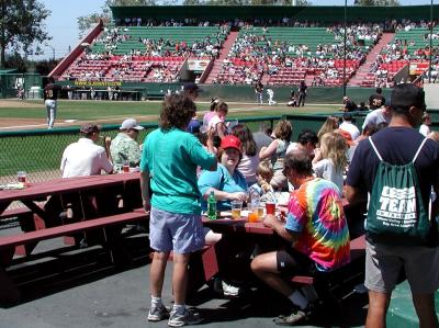 Picnic at the ballpark