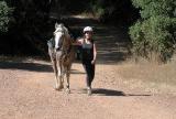 Horsewalking