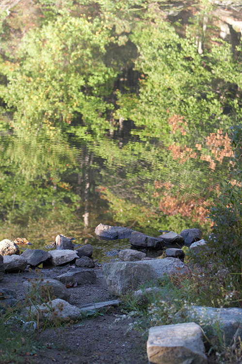bearmtn-0032.jpg