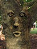 IMG_4134cropedit.jpg