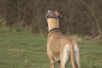 CRW_0805.jpg