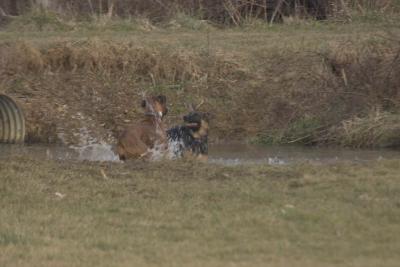 CRW_0998.jpg
