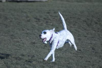 CRW_1049.jpg