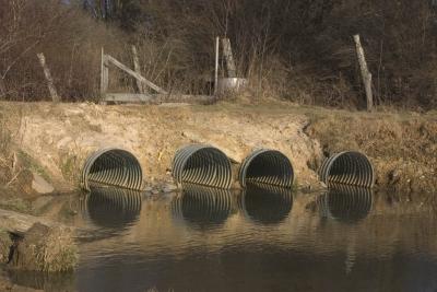 CRW_1384.jpg