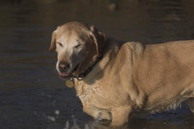 CRW_1393.jpg