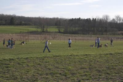 CRW_1800.jpg