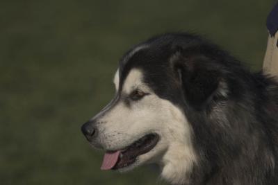 CRW_2100.jpg