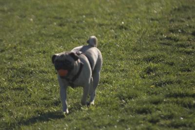 CRW_2101.jpg