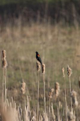 CRW_2114.jpg