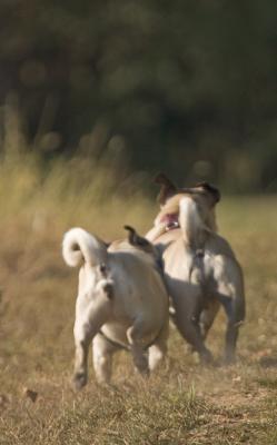 CRW_3544.jpg