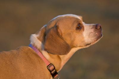 CRW_3619.jpg