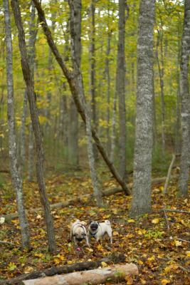 CRW_3635.jpg