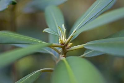 CRW_3708.jpg