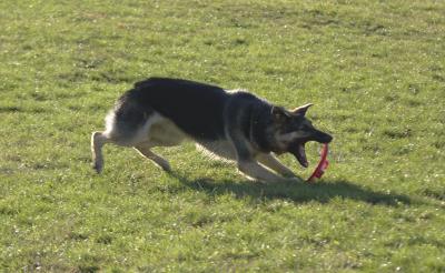 CRW_3794.jpg