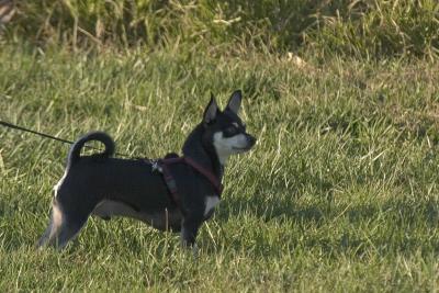 CRW_3844.jpg